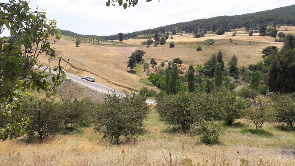 Turgay Asmalıkaya 9 Temmuz 2016 15